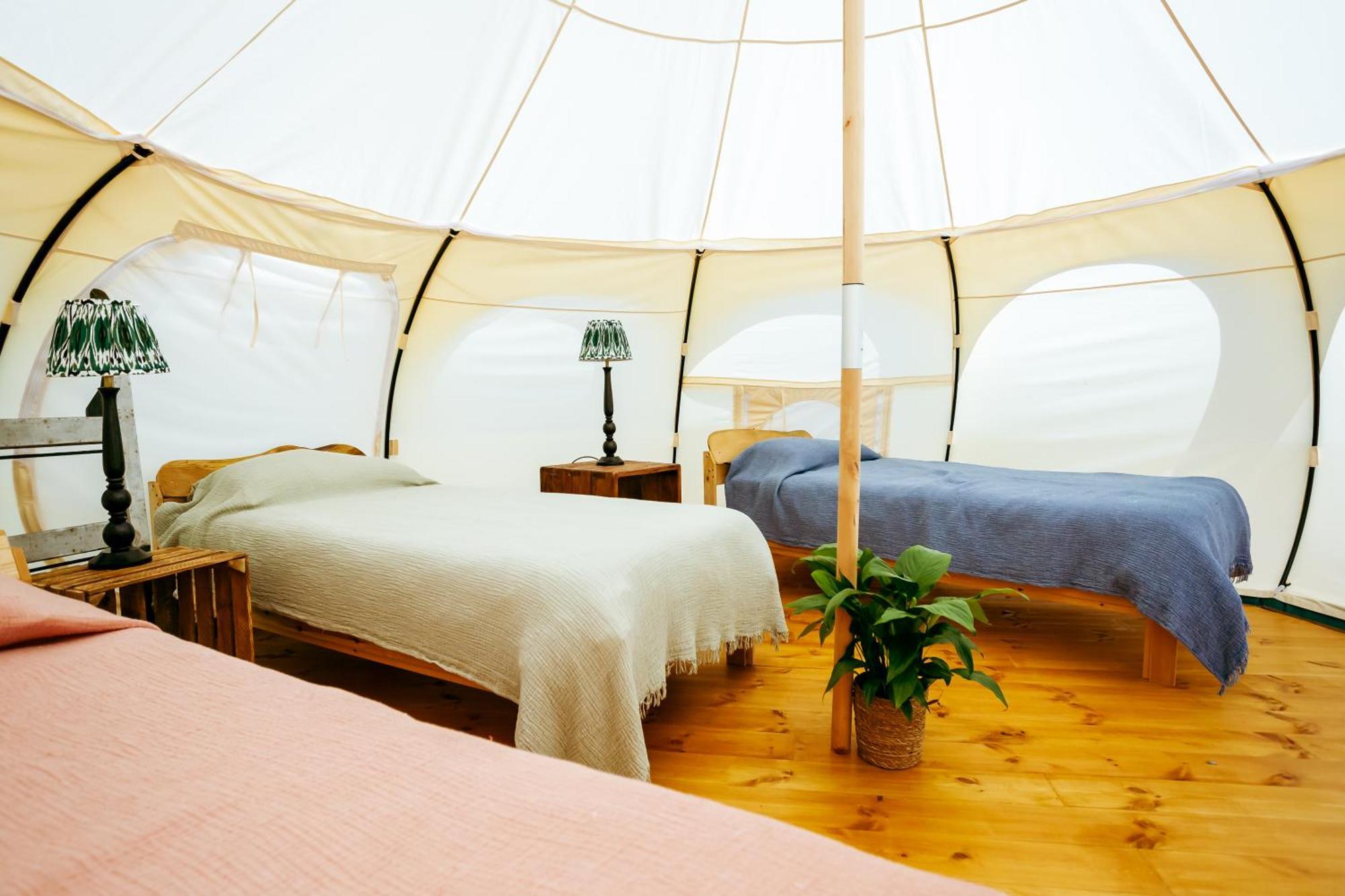Luxury Glamping Retreat In Battle Villa Kültér fotó